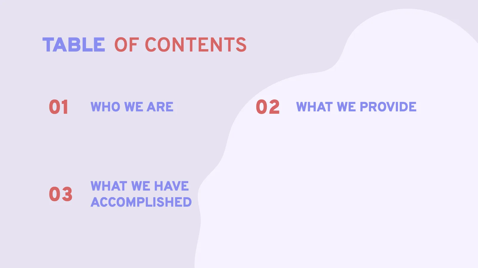 TABLE OF CONTENTS 01 WHO WE ARE 02 WHAT WE PROVIDE 03 WHAT WE HAVE ACCOMPLISHED